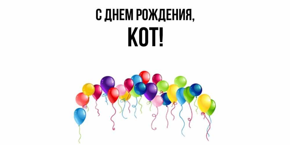Картинка С днем рождения, кот