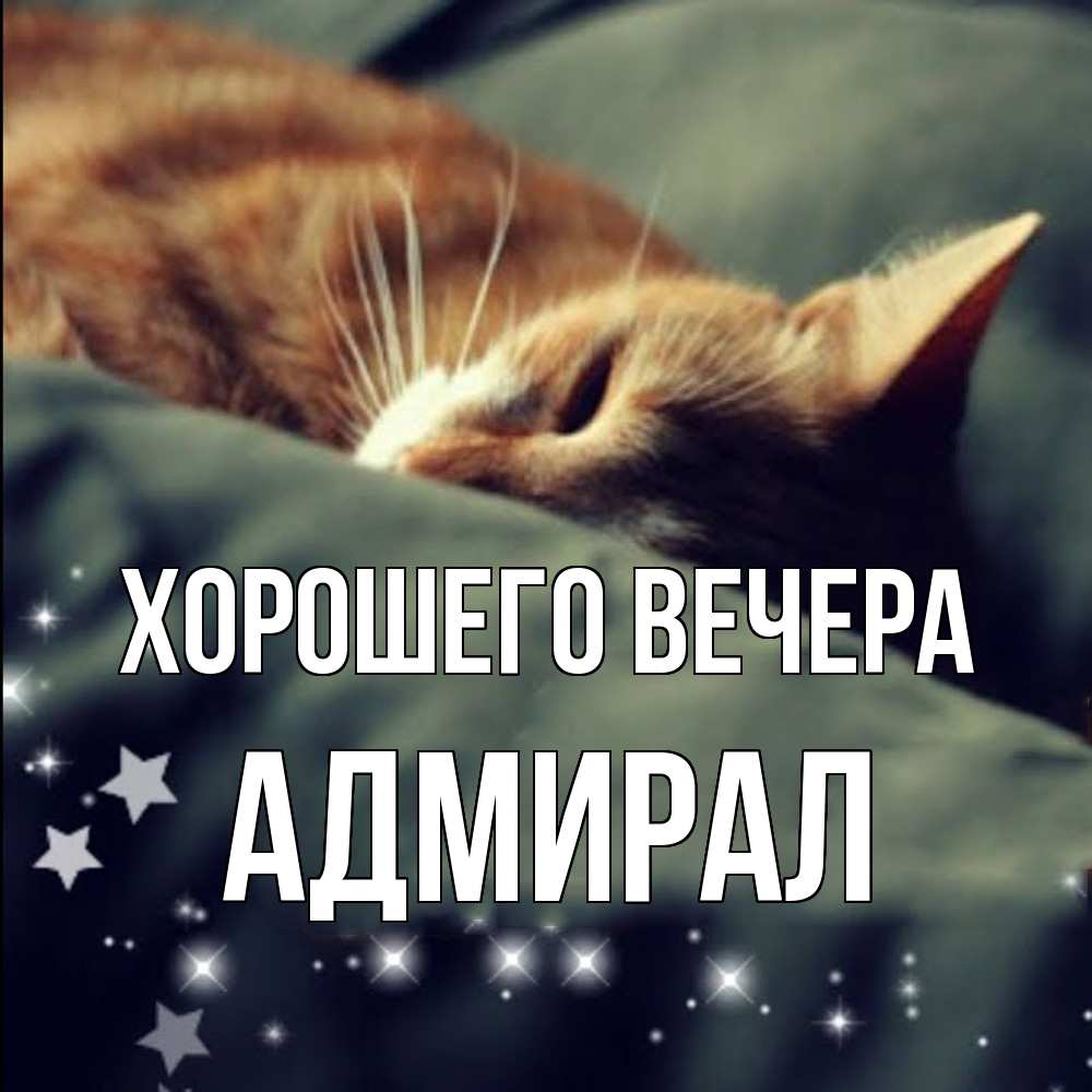 Картинка Хорошего вечера, адмирал