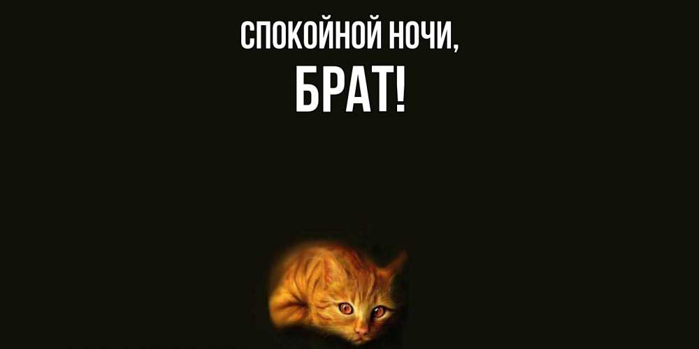 Картинка Спокойной ночи, Брат