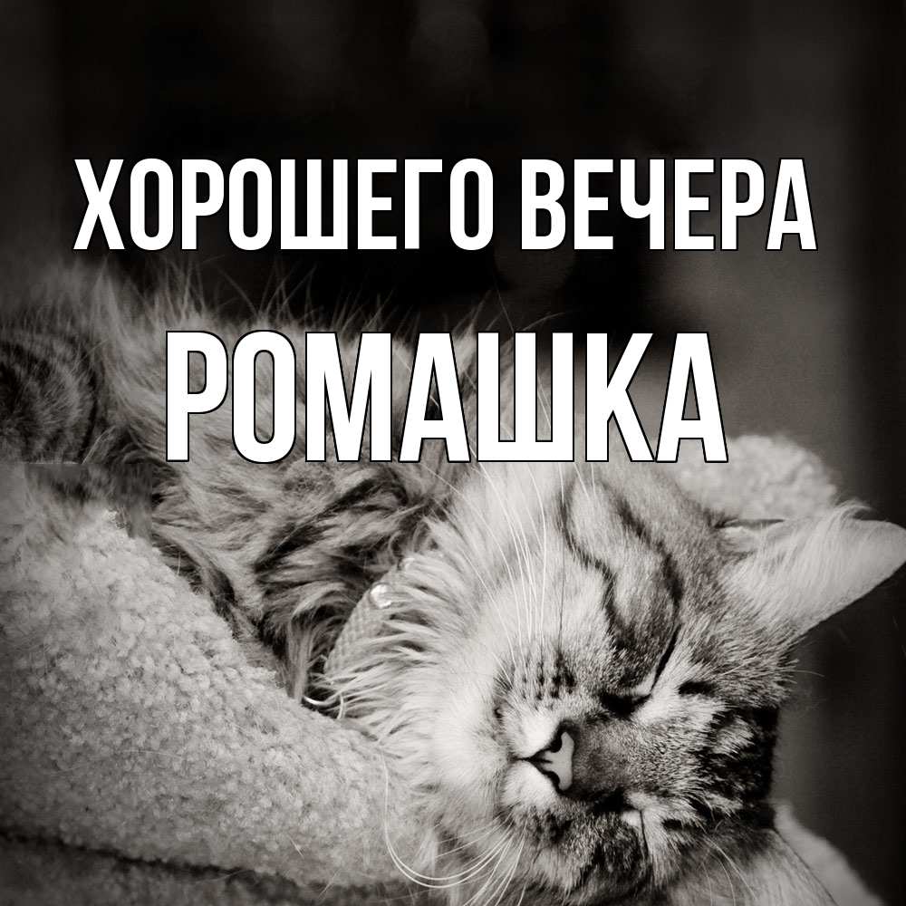 Картинка Хорошего вечера, ромашка