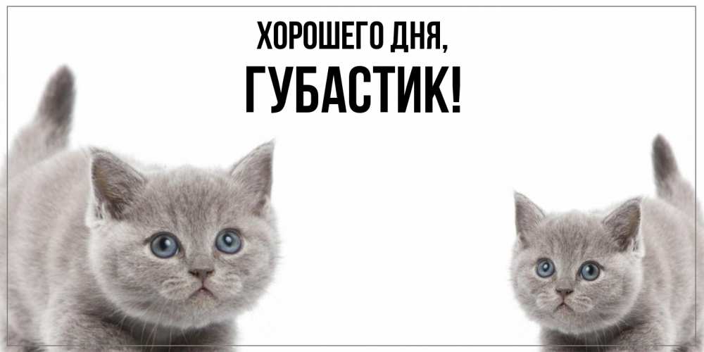 Открытка  для любимых и родных. губастик, Хорошего дня  
