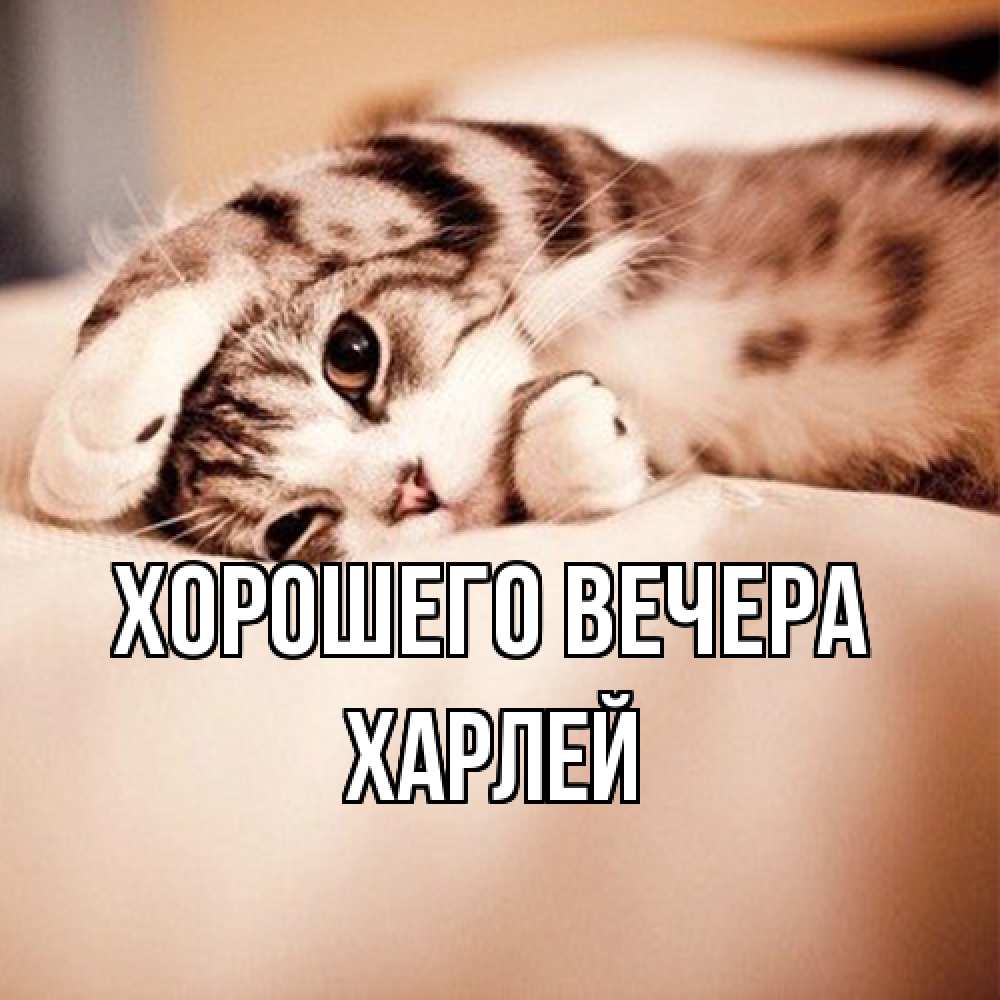 Открытка  для любимых и родных. харлей, Хорошего вечера  