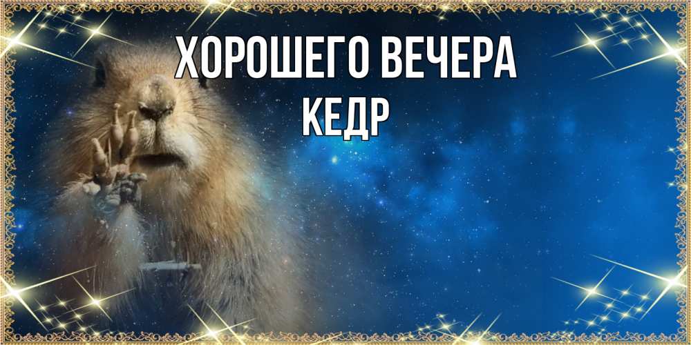 Открытка  для любимых и родных. кедр, Хорошего вечера  