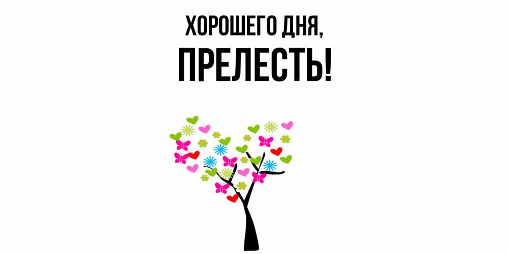 Открытка  для любимых и родных. прелесть, Хорошего дня  