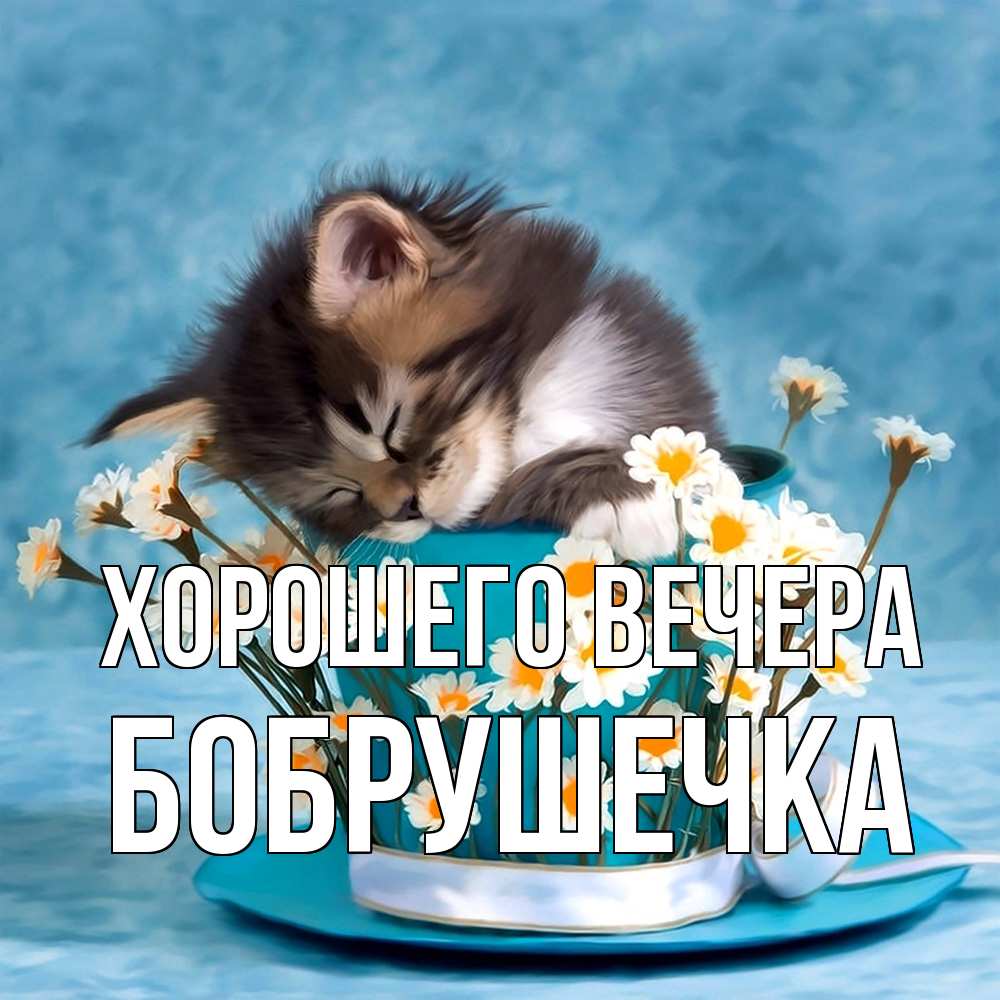 Картинка Хорошего вечера, бобрушечка