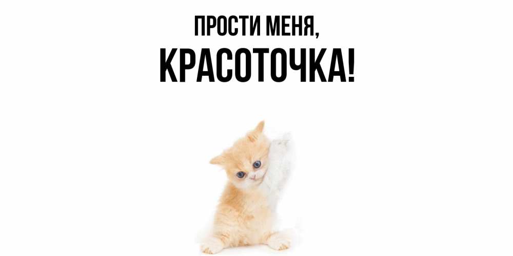 Открытка  для любимых и родных. красоточка, Прости меня  