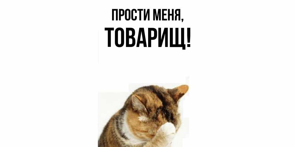 Картинка Прости меня, Товарищ