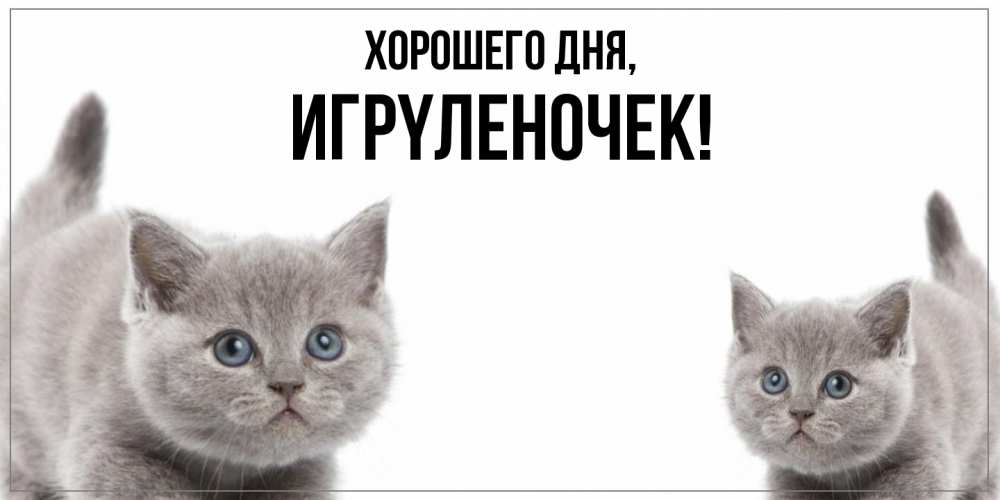 Открытка  для любимых и родных. игpyленочек, Хорошего дня  