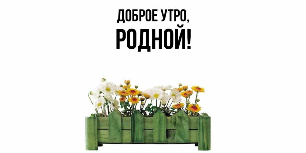 Картинка Доброе утро, родной