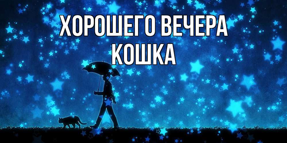 Картинка Хорошего вечера, кошка