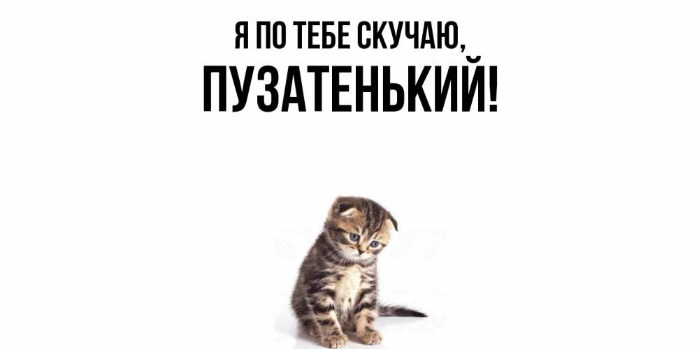 Открытка  для любимых и родных. пузатенький, Я по тебе скучаю  