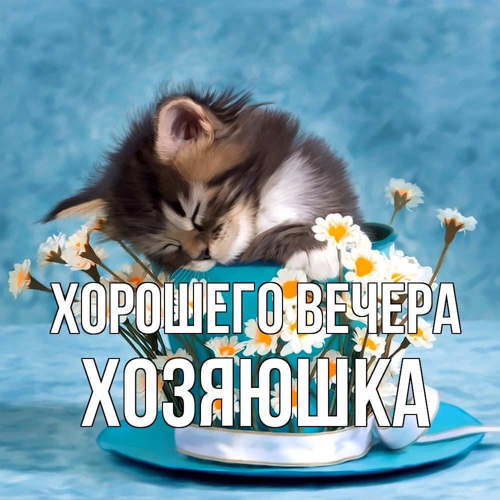 Картинка Хорошего вечера, хозяюшка