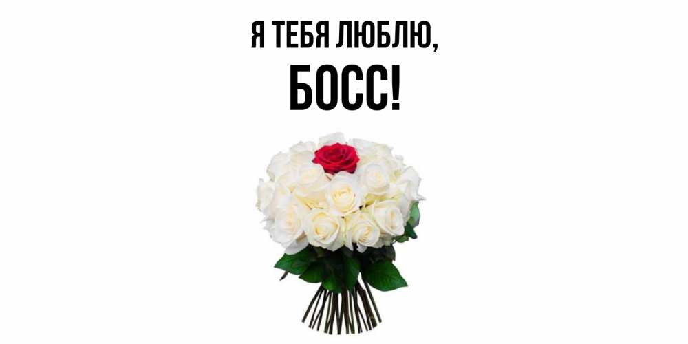 Картинка Я тебя люблю, Босс
