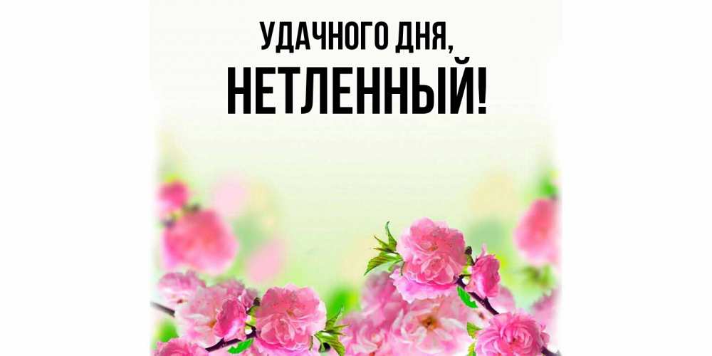 Картинка Удачного дня, нетленный