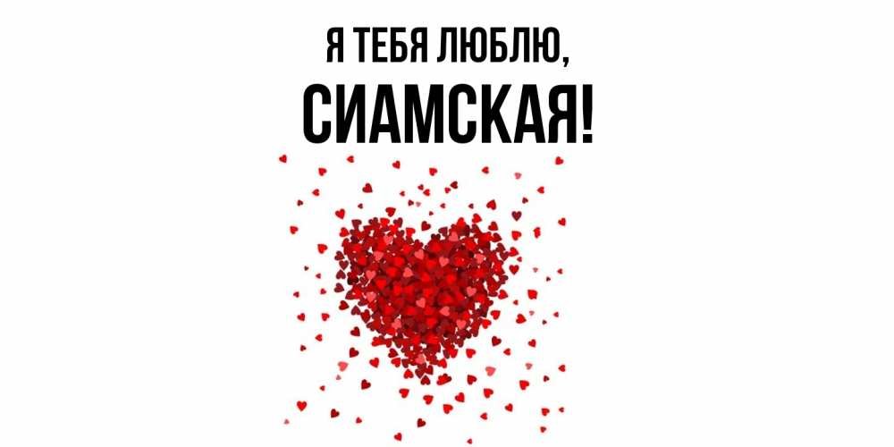 Картинка Я тебя люблю, сиамская