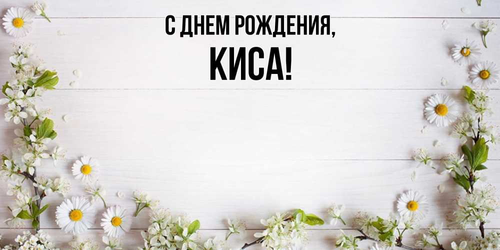 Открытка  для любимых и родных. киса, С днем рождения  