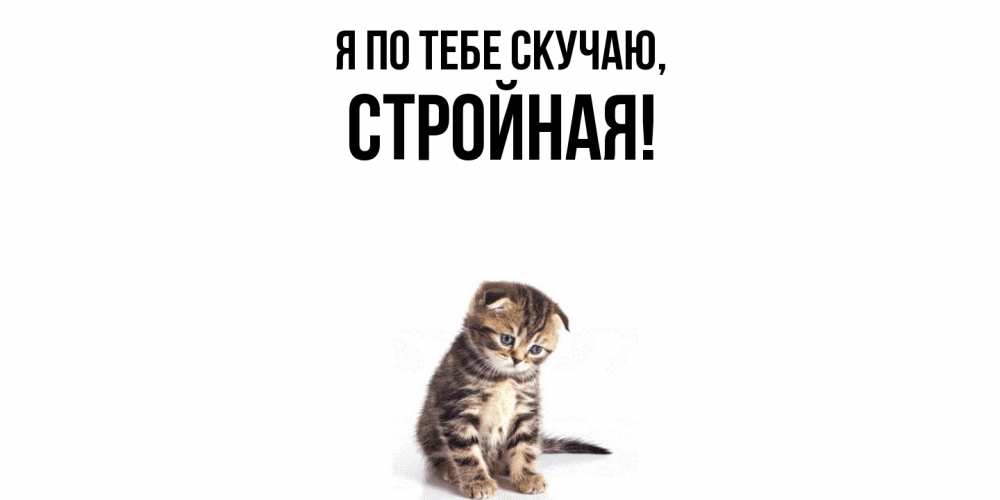 Открытка  для любимых и родных. стройная, Я по тебе скучаю  