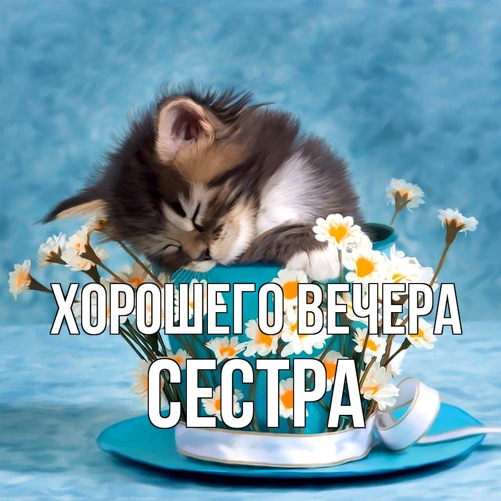 Картинка Хорошего вечера, Сестра