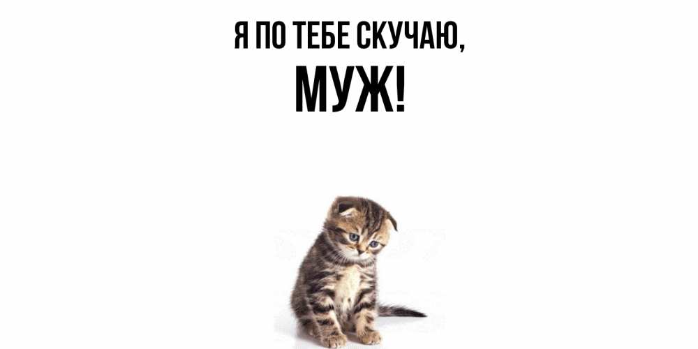 Открытка  для любимых и родных. Муж, Я по тебе скучаю  