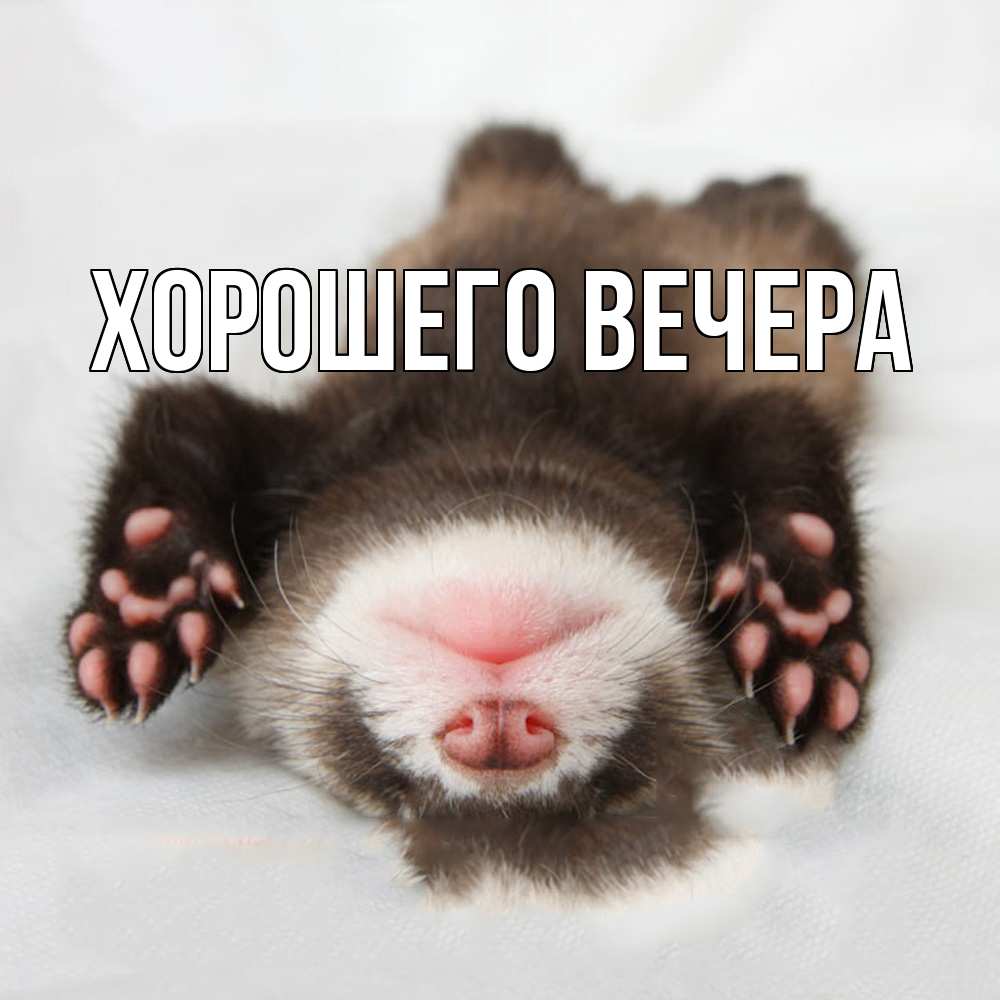 Картинка Хорошего вечера, 