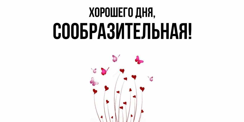 Открытка  для любимых и родных. сообразительная, Хорошего дня  