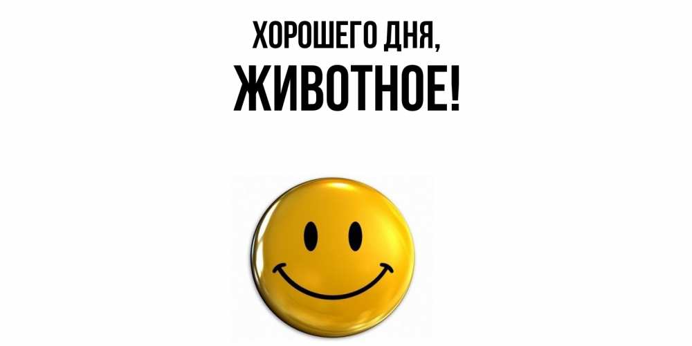 Картинка Хорошего дня, животное