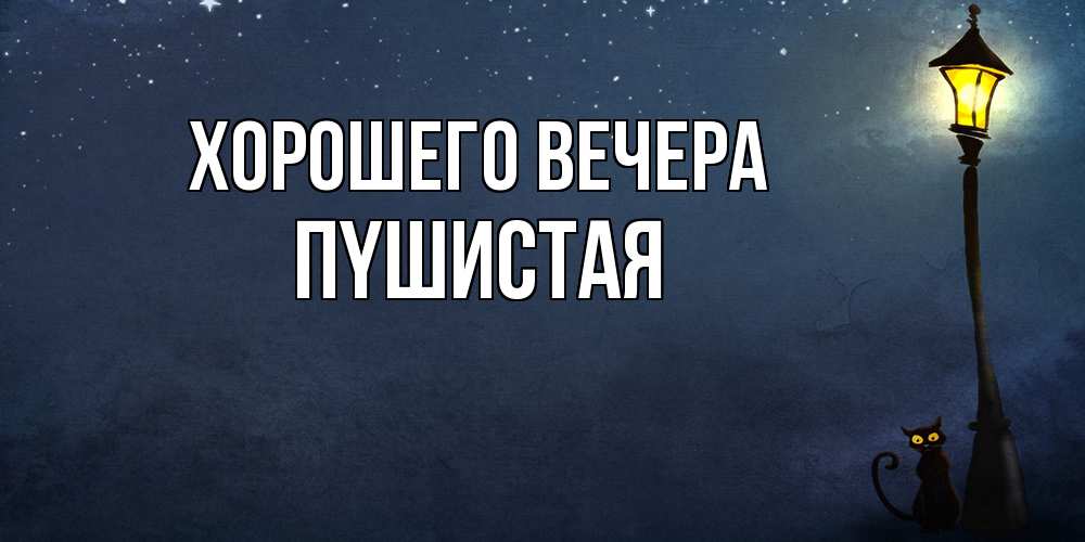 Картинка Хорошего вечера, пyшистая