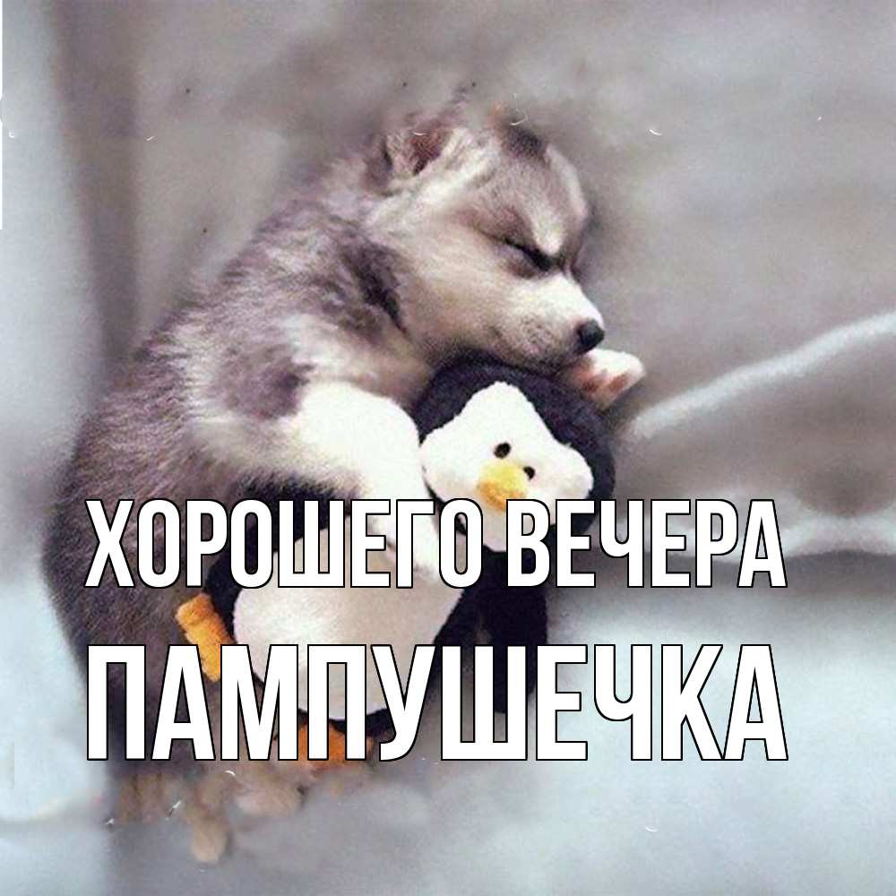 Картинка Хорошего вечера, пампушечка