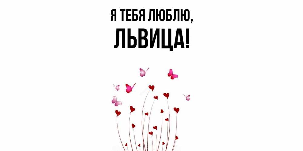 Картинка Я тебя люблю, львица