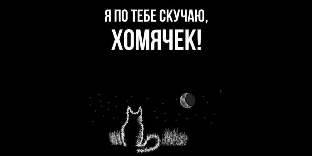 Открытка  для любимых и родных. хомячек, Я по тебе скучаю  