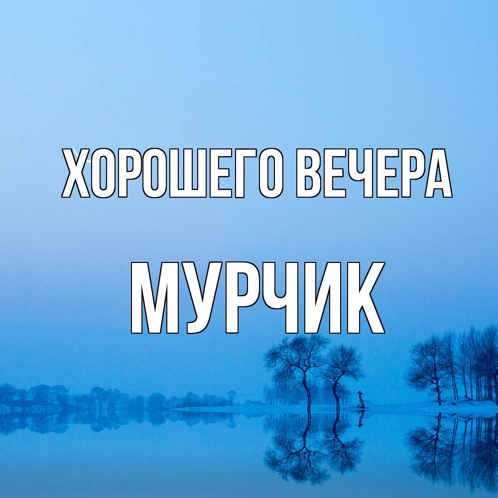 Открытка  для любимых и родных. мурчик, Хорошего вечера  