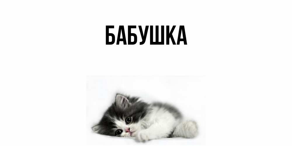 Открытка  для любимых и родных. Бабушка, Главная  