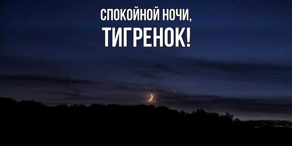 Открытка  для любимых и родных. Тигренок, Спокойной ночи  