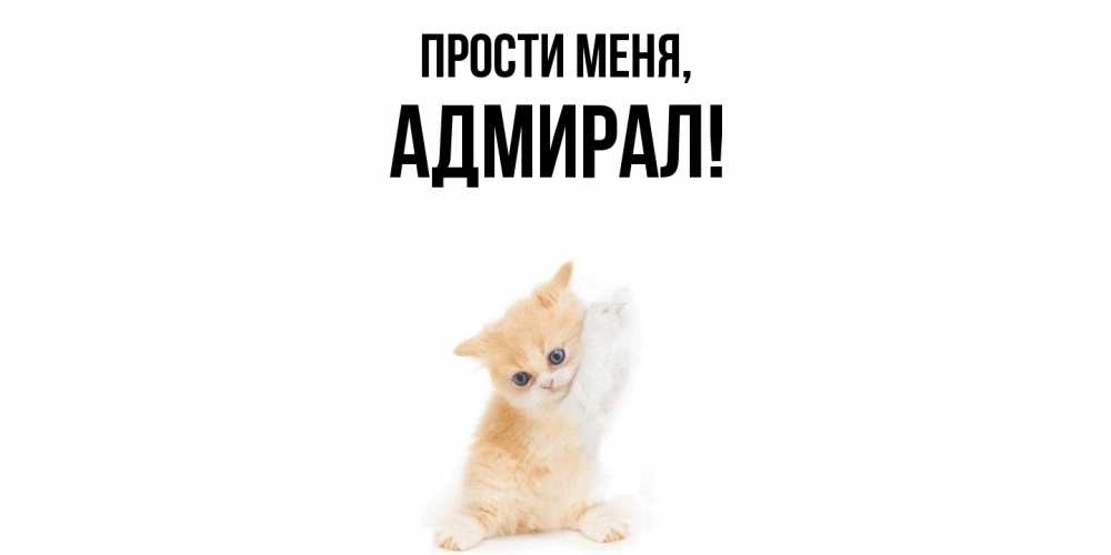 Открытка  для любимых и родных. адмирал, Прости меня  