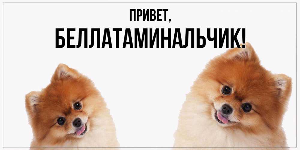 Открытка с именем, беллатаминальчик, Привет