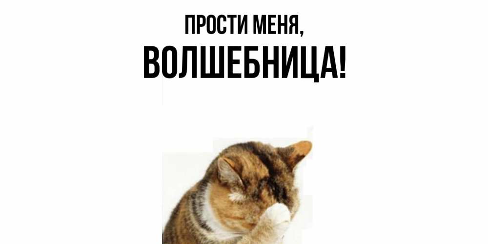 Картинка Прости меня, волшебница