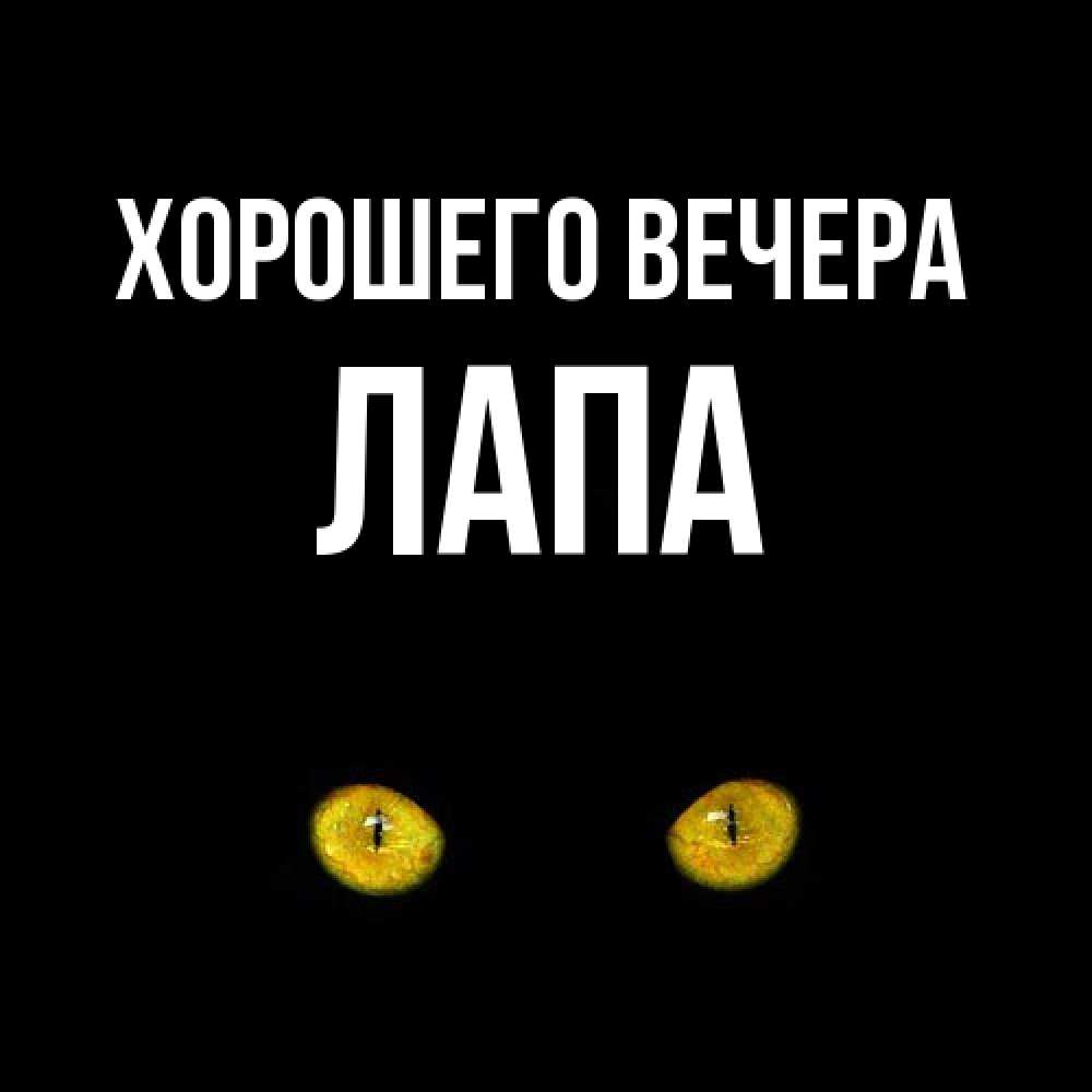 Картинка Хорошего вечера, лапа