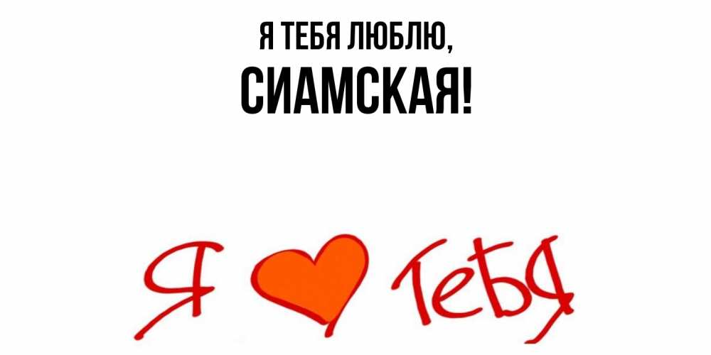 Открытка  для любимых и родных. сиамская, Я тебя люблю  