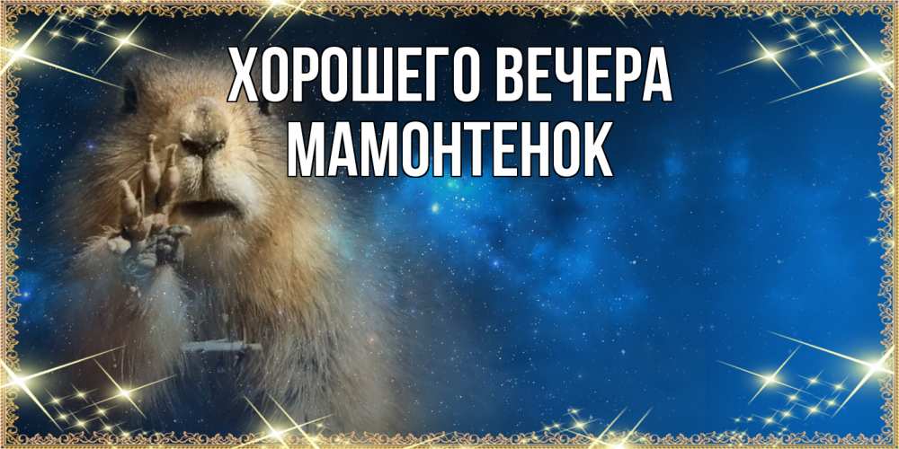 Картинка Хорошего вечера, мамонтенок