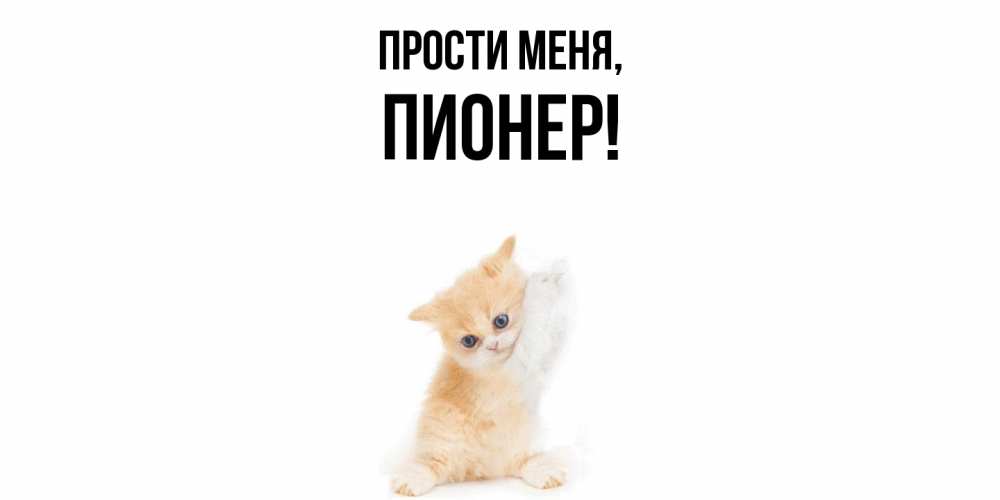 Картинка Прости меня, пионер