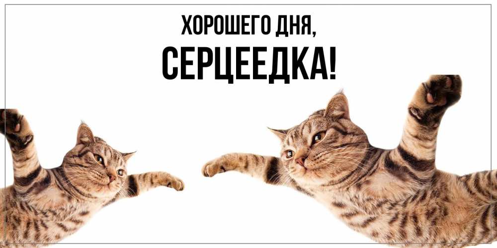 Открытка  для любимых и родных. серцеедка, Хорошего дня  