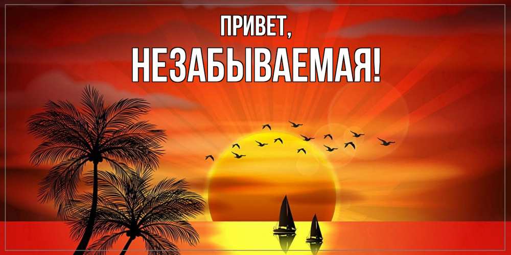 Открытка  для любимых и родных. незабываемая, Привет  