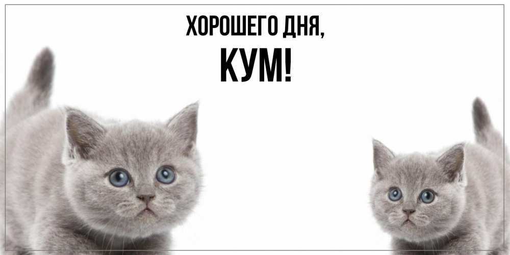 Картинка Хорошего дня, Кум