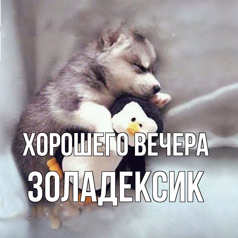 Картинка Хорошего вечера, золадексик