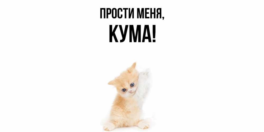 Картинка Прости меня, Кума