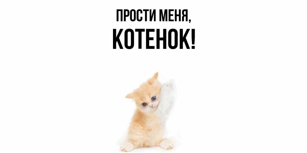 Открытка  для любимых и родных. Котенок, Прости меня  