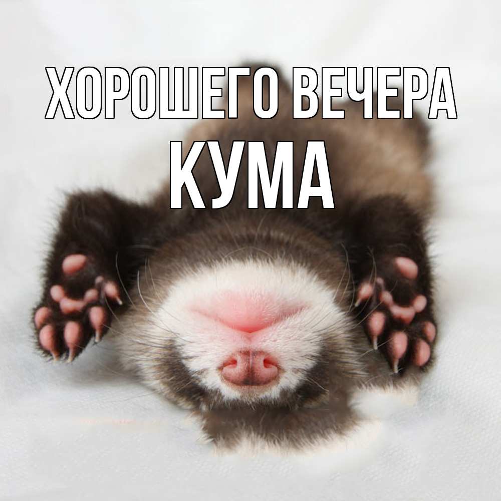 Открытка  для любимых и родных. Кума, Хорошего вечера  