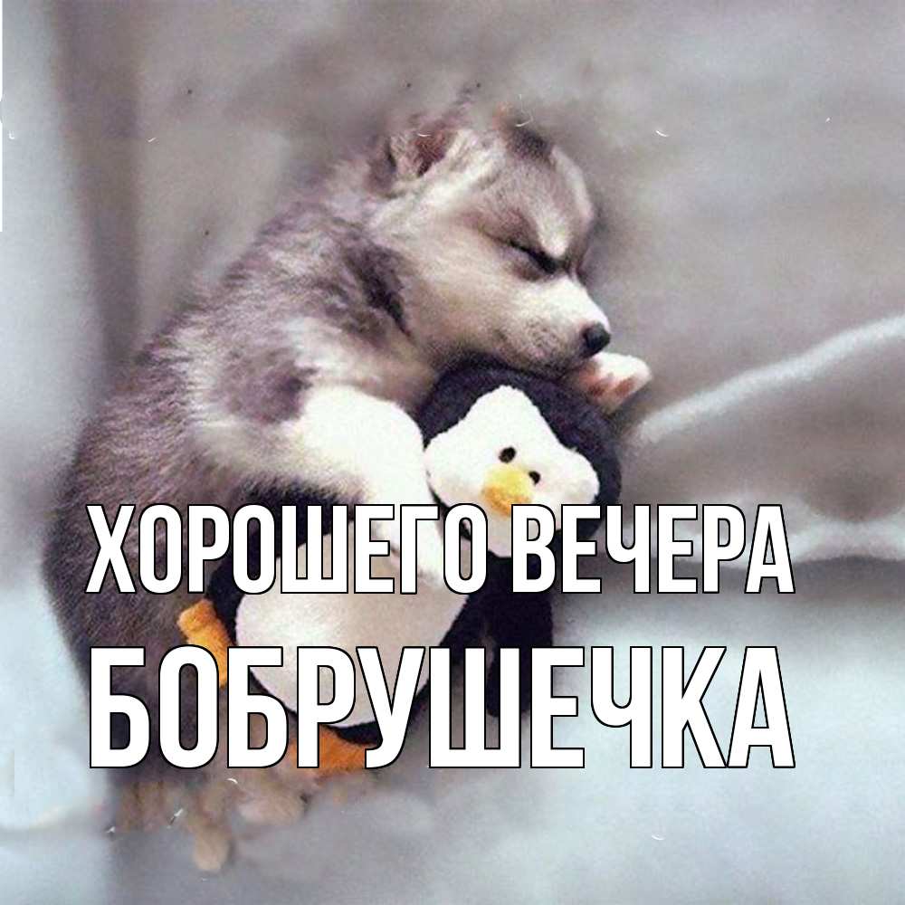 Картинка Хорошего вечера, бобрушечка