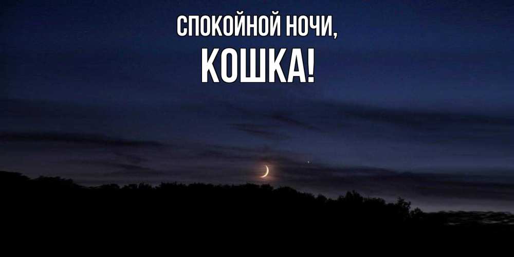 Открытка  для любимых и родных. кошка, Спокойной ночи  