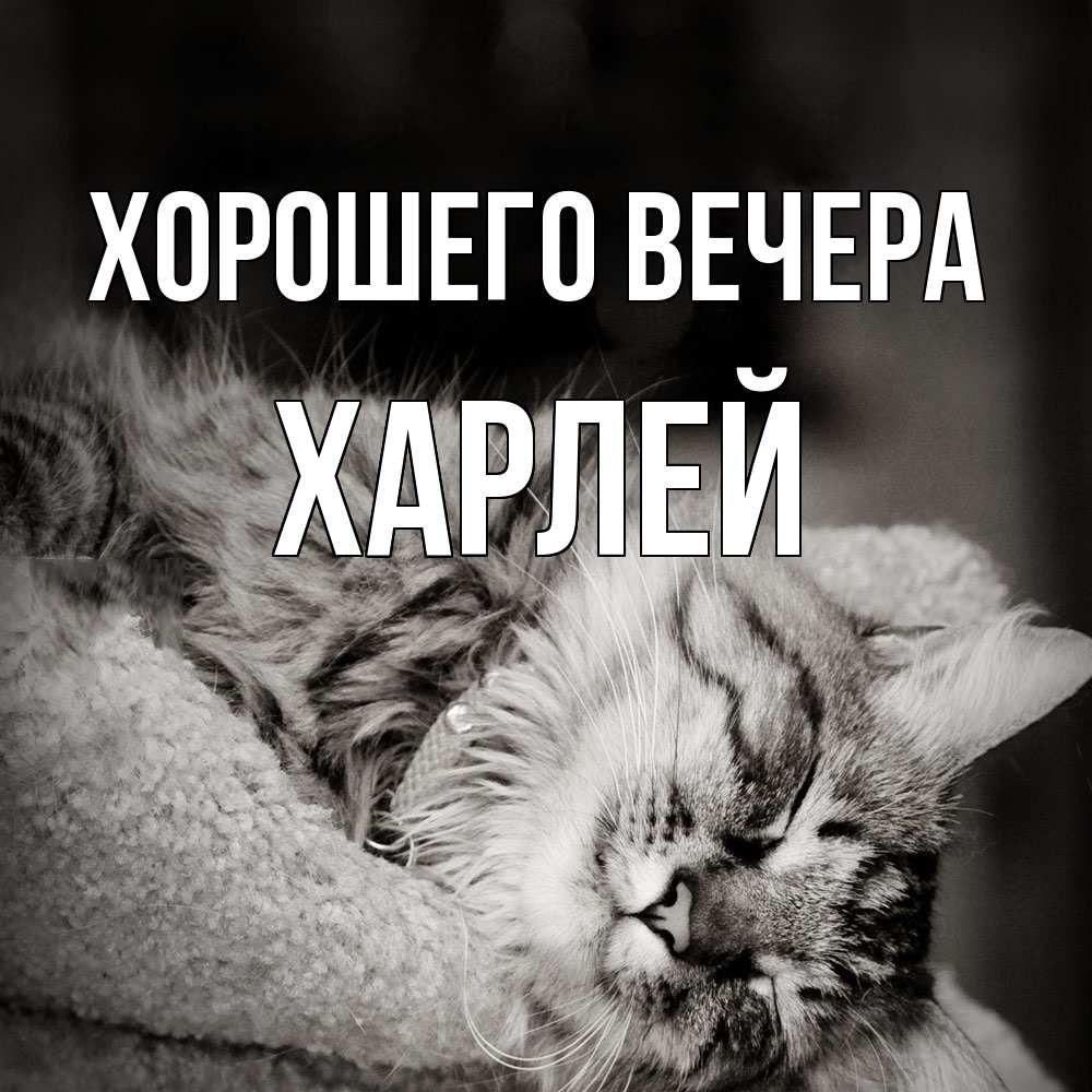 Открытка  для любимых и родных. харлей, Хорошего вечера  